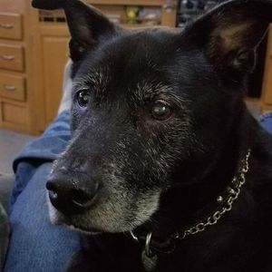 Meet your Posher, Darrell